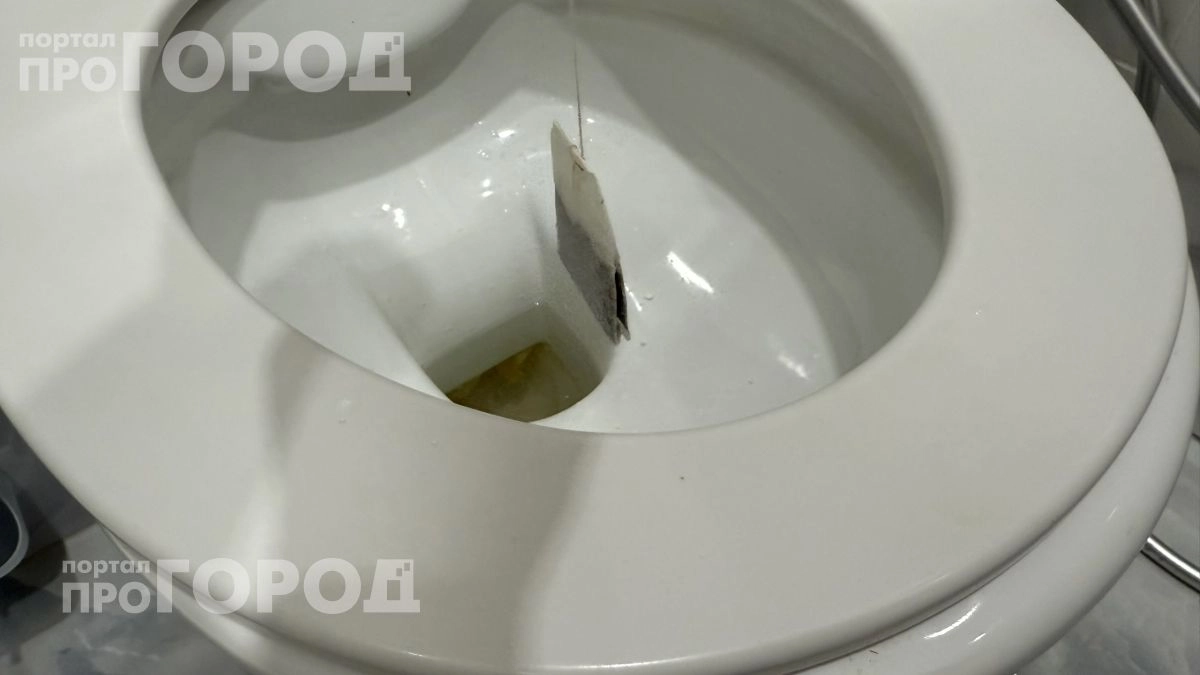 Забыла про дорогую бытовую химию: как один чайный пакетик в унитазе избавляет от налета и неприятного запаха
