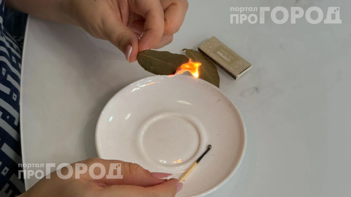 Хватит просто варить суп с лаврушкой: подожгите один лист в комнате и оцените результат для здоровья