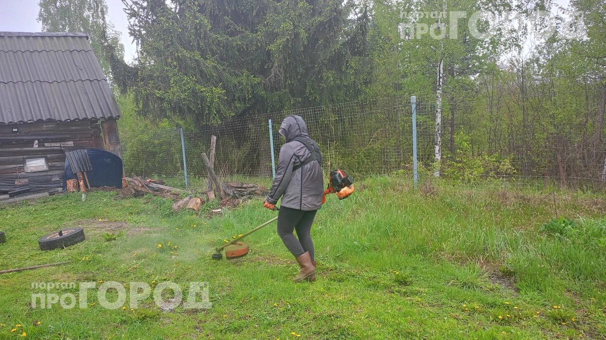 Перестаньте выбрасывать скошенную траву: четыре способа сделать грядки плодороднее без лишних затрат сил