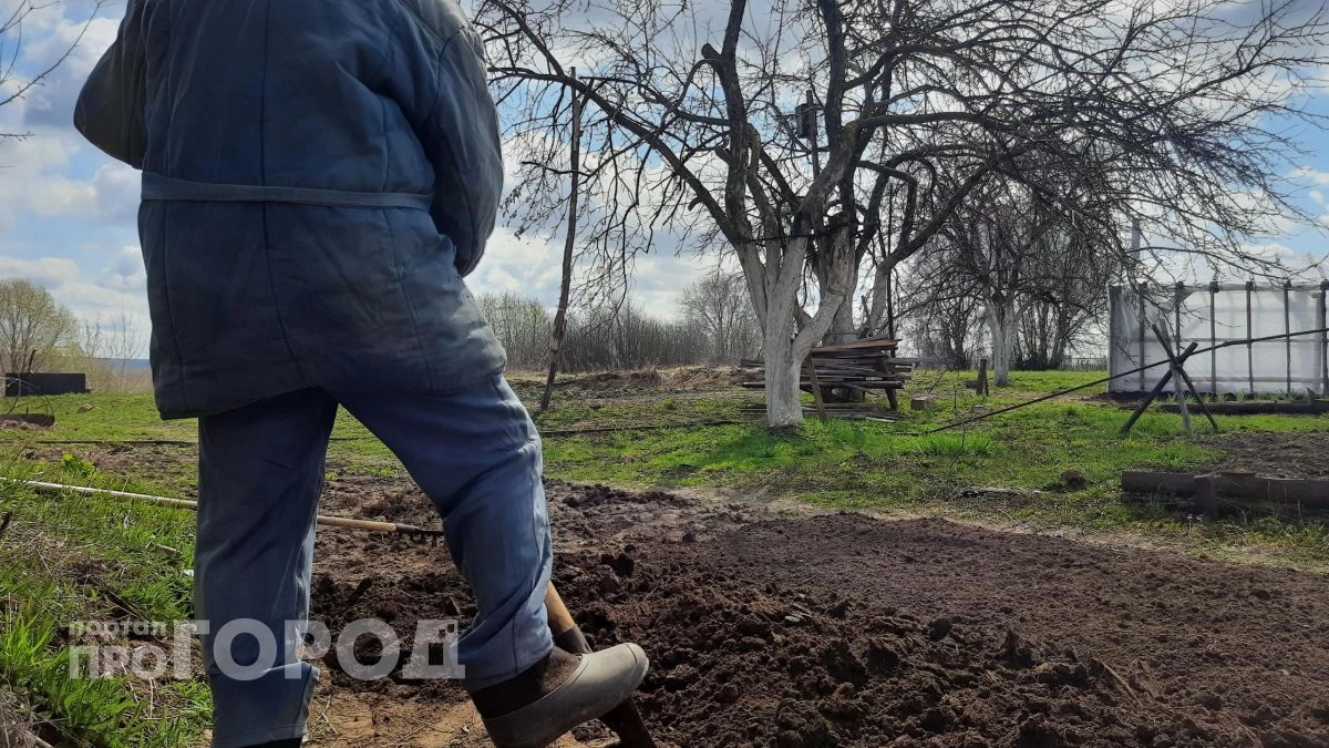 Забудьте про тяжелую лопату на даче: этот простой прием делает почву рыхлой и мягкой без лишних усилий