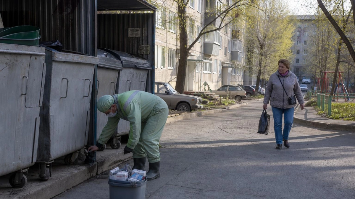 Крысы заполонили дворы Владивостока: администрация требует дератизации