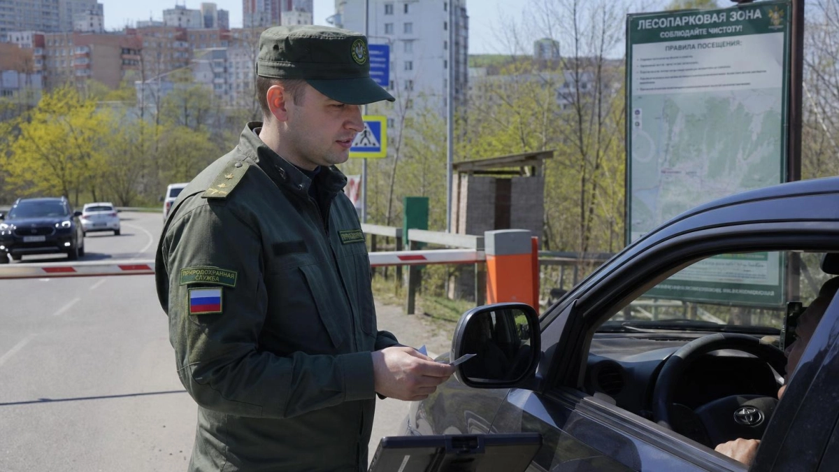 Гражданин Кореи заплатит 6,84 млн рублей за 38 желез кабарги из Владивостока
