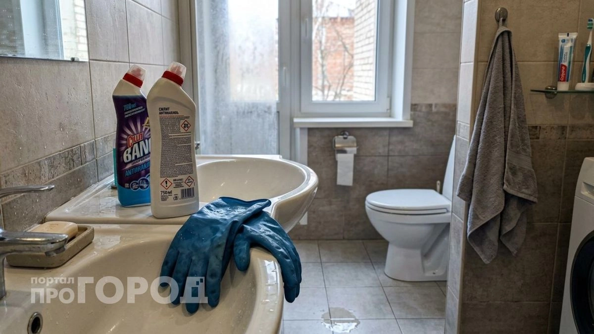 Перестаньте смывать бумагу в унитаз: сантехник объяснил как избежать дорогостоящего ремонта канализации