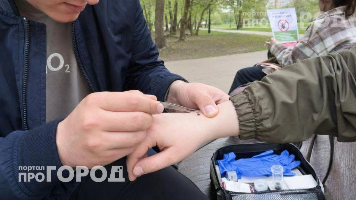 Ваша группа крови буквально притягивает клещей: узнайте как стать невидимым для паразитов на прогулке