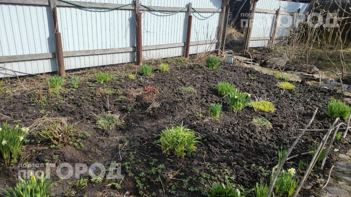 Больше никакой боли в спине: приспособила шуруповерт для прополки грядок и теперь справляюсь за пять минут