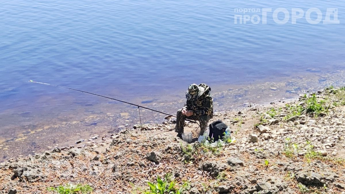 Комары исчезнут с участка за минуту: простой способ защиты из аптеки который эффективнее любой магазинной химии