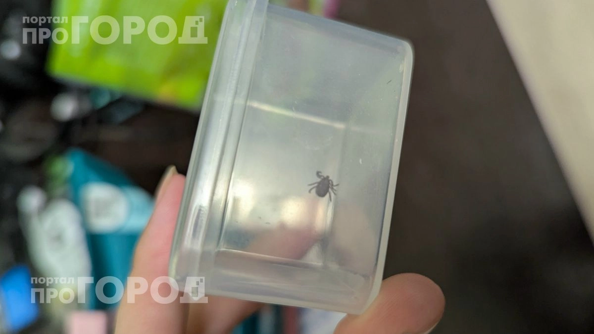 Забудьте про опасных паразитов на прогулке: капните всего два средства на обувь и забудьте про укусы в лесу