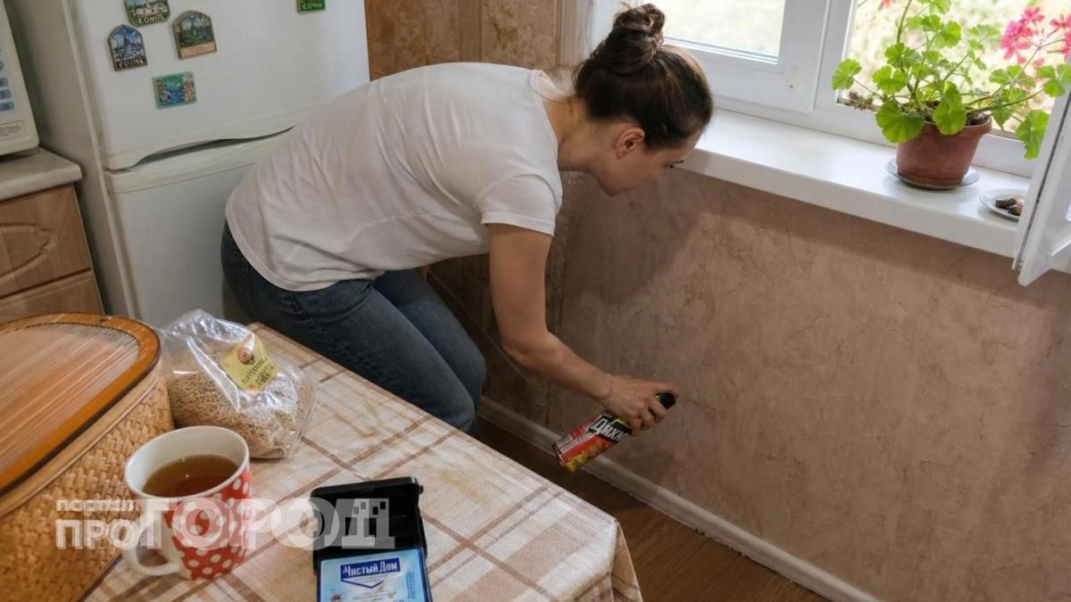 Муравьи разбегаются из дома за считанные минуты: просто пропитайте ватку этим средством из вашей аптечки