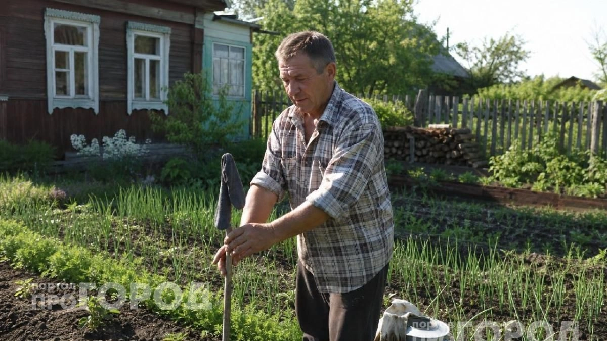 Больше никаких укусов на даче: простой трюк с обычным носком на палке избавит от комаров за секунды