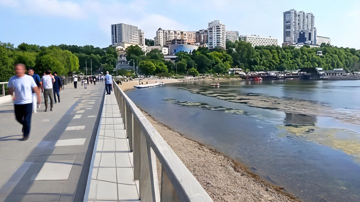 Спортивную гавань Владивостока затянуло тиной после аномально теплого мая