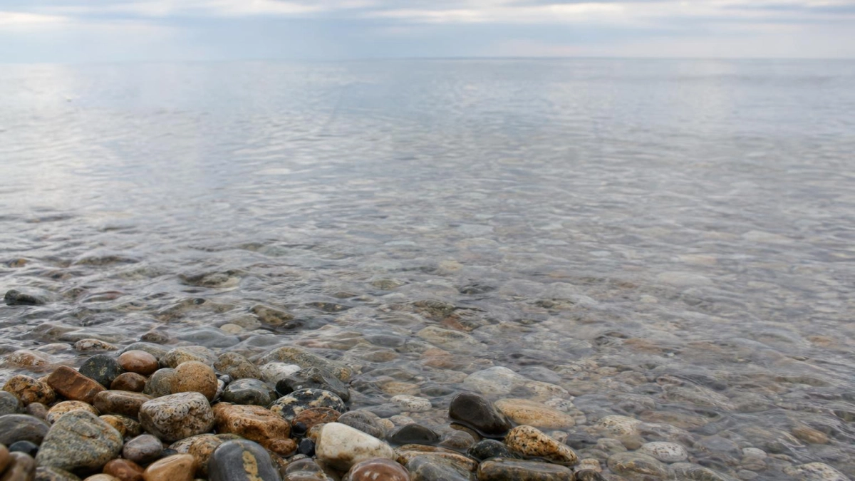 В бухте Посьет вода прогрелась до 20,9°C — это максимум в Приморье