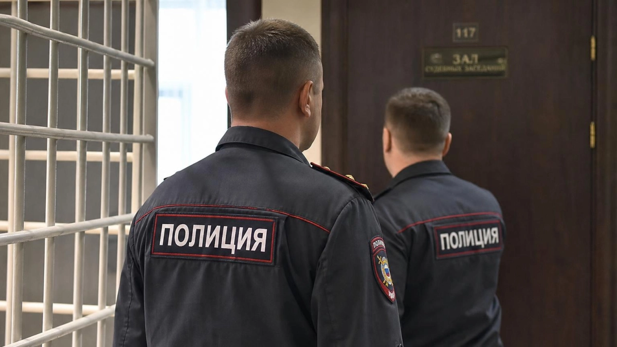 Во Владивостоке двоим дали сроки за контрабанду леса на 590 млн рублей
