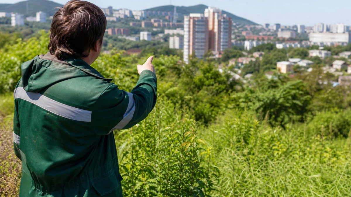 Участок опытной станции во Владивостоке стоимостью 54 млн рублей выставят на торги