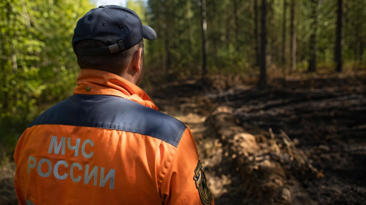 В Приморье взыскали 80,7 млн рублей после пожара на 25 гектарах