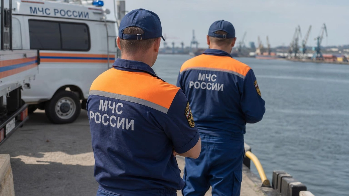 У причала в Находке заметили акулу длиной до трех метров