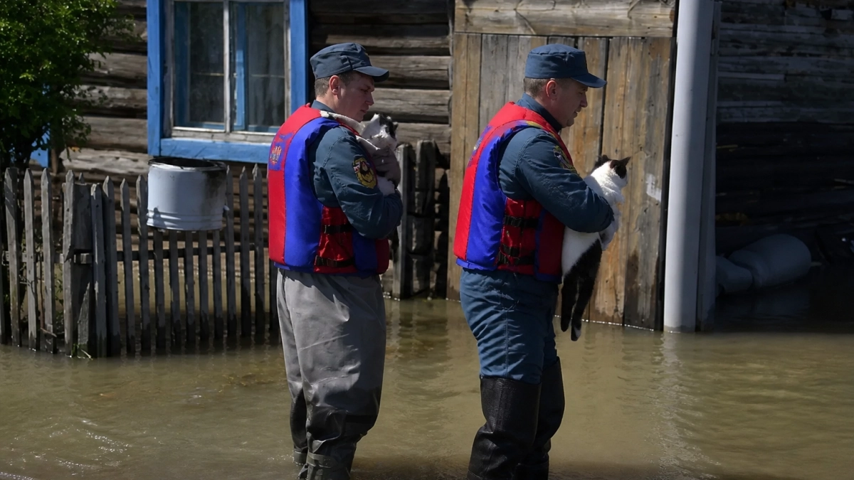 В Хасанский район Приморья направили спасателей МЧС из-за угрозы подтоплений