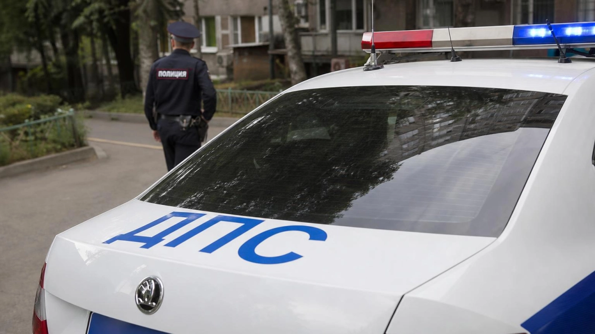 В Приморье анонимный чат-бот помогает выявлять нелегальных мигрантов