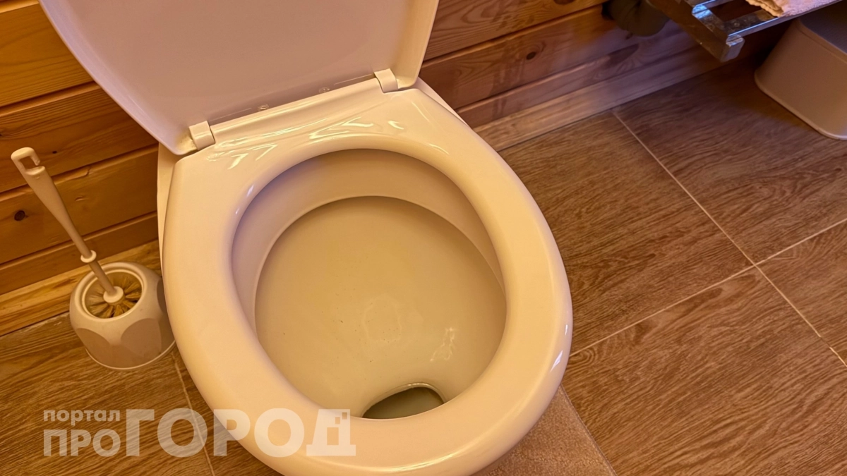 Выливаю остатки этого средства в унитаз и чайник перед сном: утром налет исчезает без единого усилия