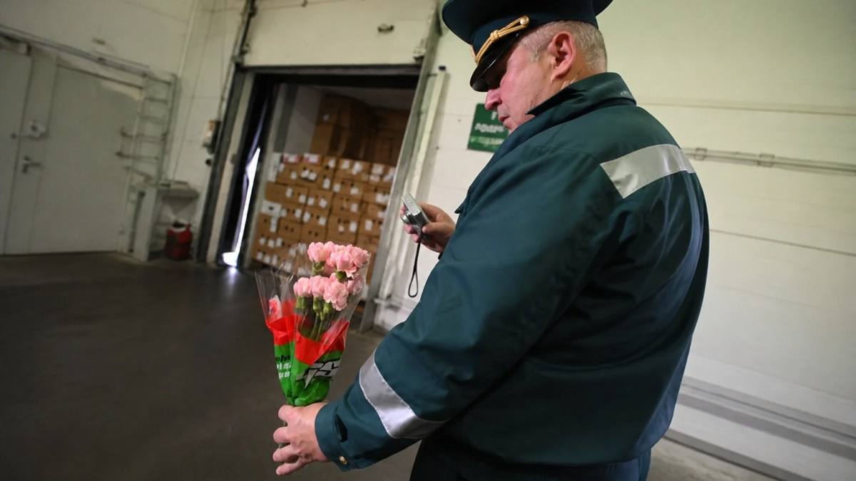 В Приморье не пустили почти 49,5 тысячи цветов с карантинным вредителем