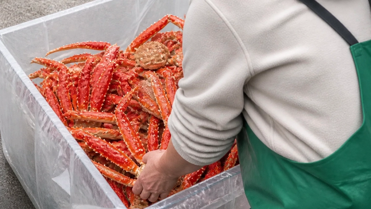 Жительница Владивостока показала набор морепродуктов для родни почти за 27,5 тысячи рублей