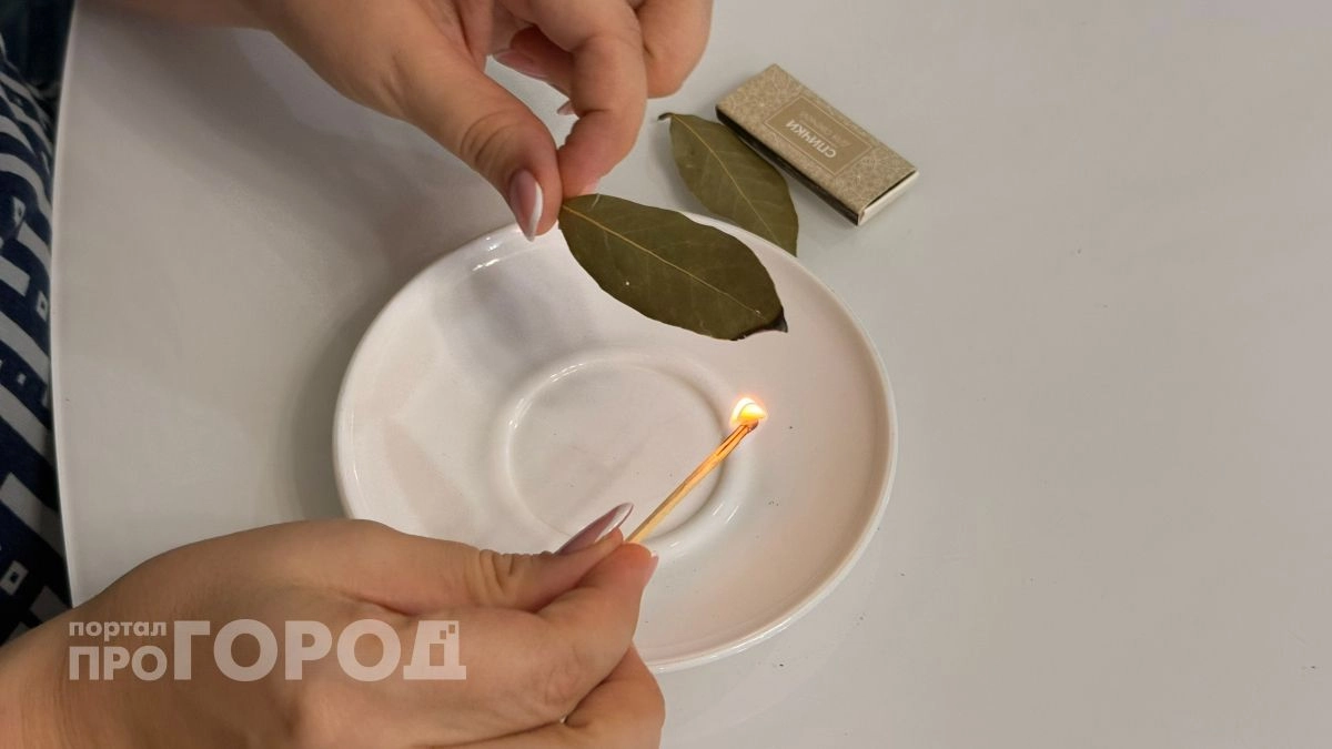 Хватит переводить лавровый лист на суп: поджигаю его в комнате и наслаждаюсь чистотой воздуха весь октябрь