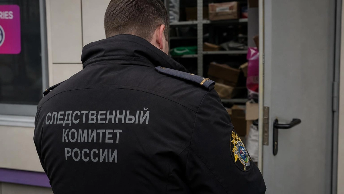 Бастрыкин запросил доклад по проверке нападения на несовершеннолетнюю сотрудницу ПВЗ в Артёме