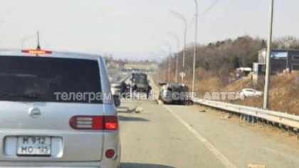 Перевёртыш у Владивостока: спасатели достали людей, по трассе бегает собака