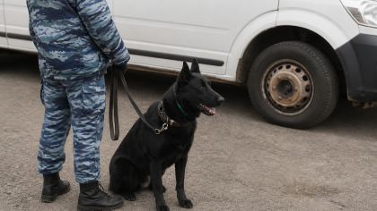 Во Владивостоке завели дело после ложного сообщения об угрозе в детском центре