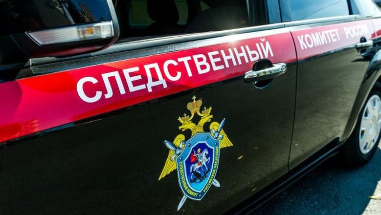 Мать забрала 7-летнюю дочь из реабилитационного центра в Артеме: возбуждено уголовное дело