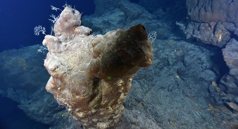 ОБЪЯСНЯЕМ | Чем занимается Международный орган по морскому дну?