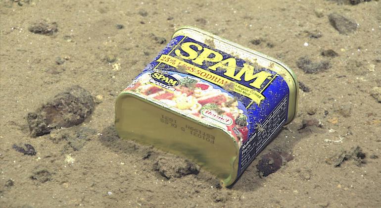 ОБЪЯСНЯЕМ | Чем занимается Международный орган по морскому дну?